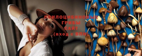 мдпв Куйбышев