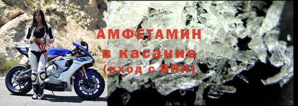индика Краснослободск