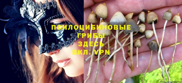 мдпв Куйбышев