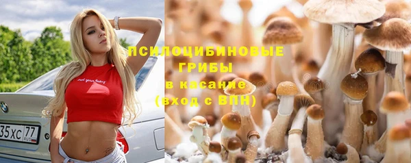 прущая мука Кукмор